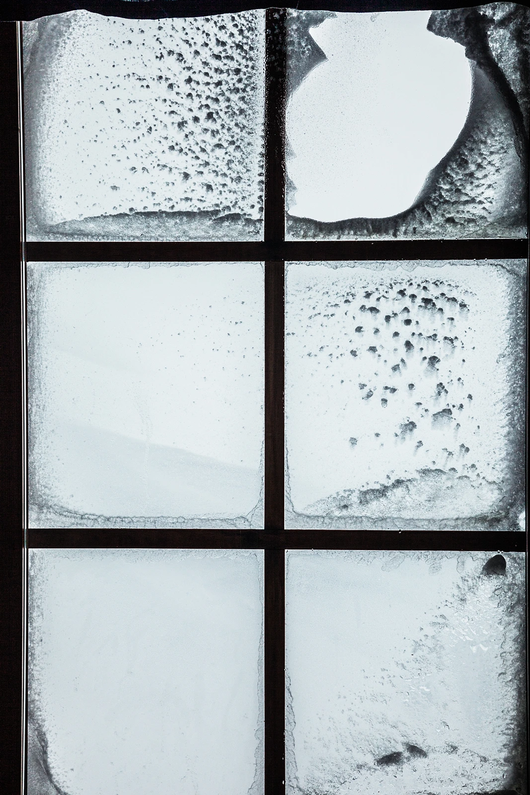 untitled image