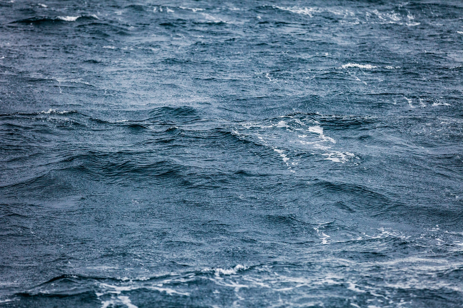 fa9841_754bf7f0755a4ebabd68f8de921962b9~mv2.jpg