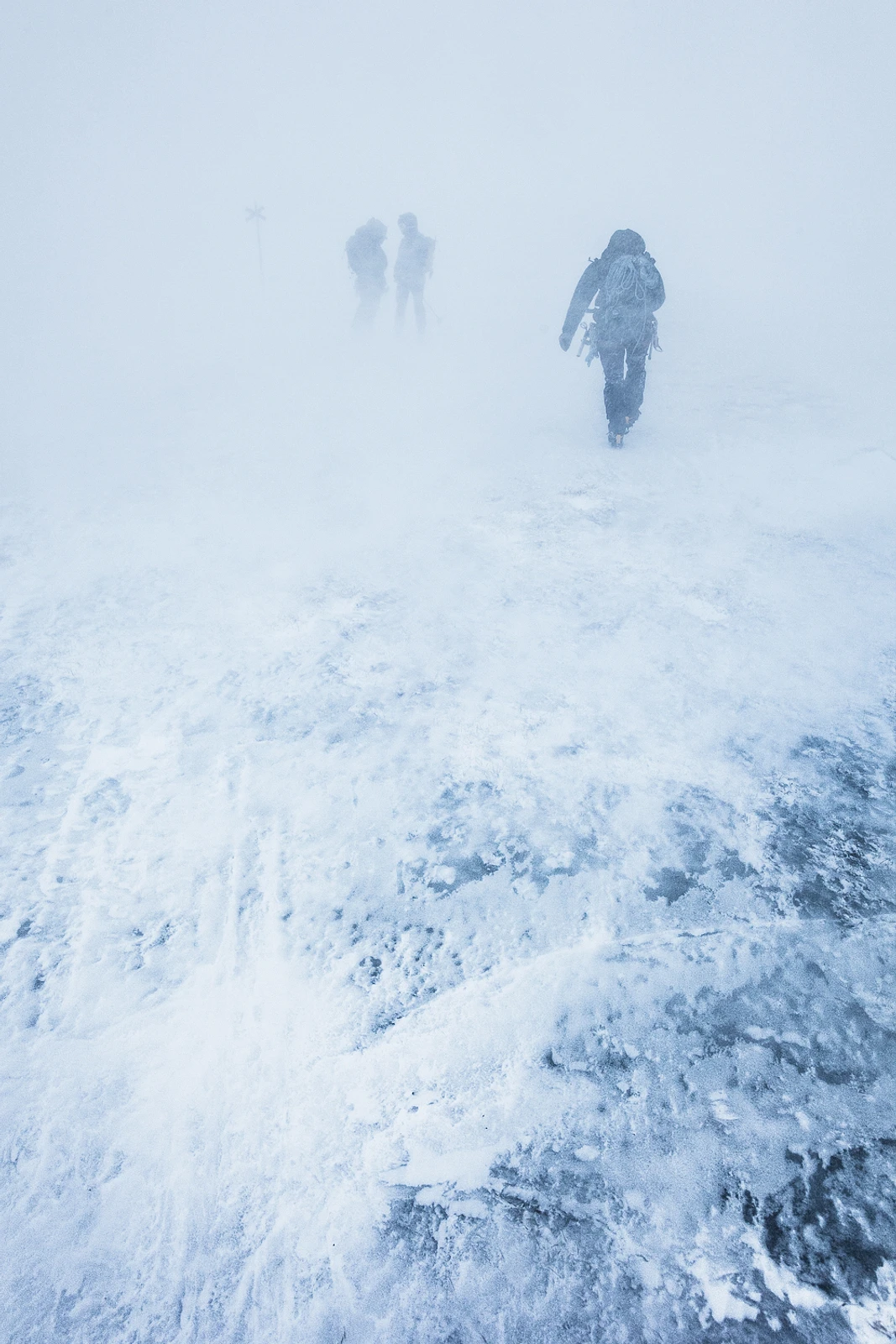 untitled image