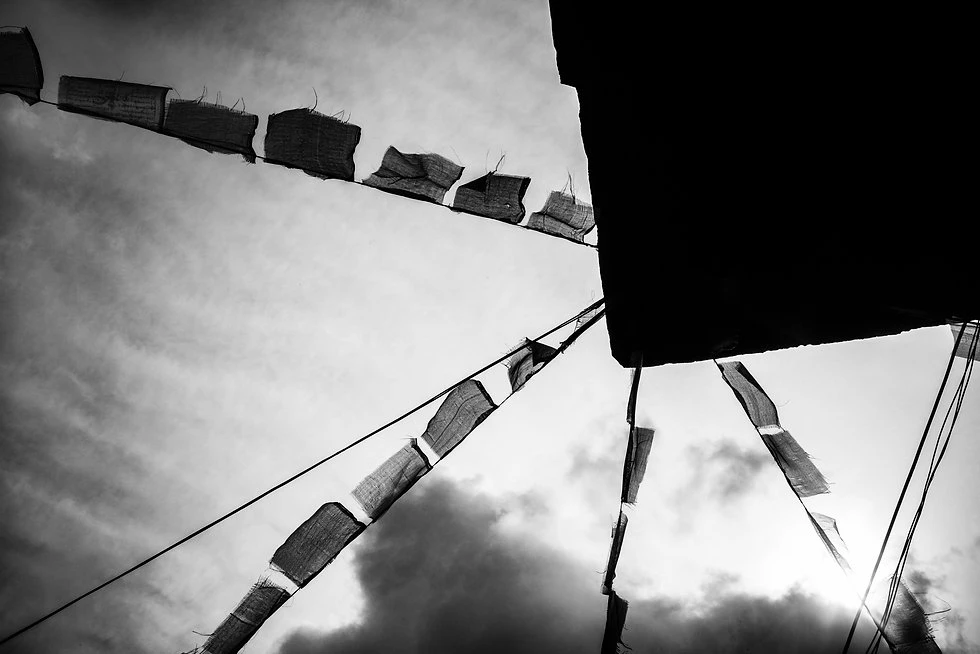 ©MartinOlson-0580.jpg