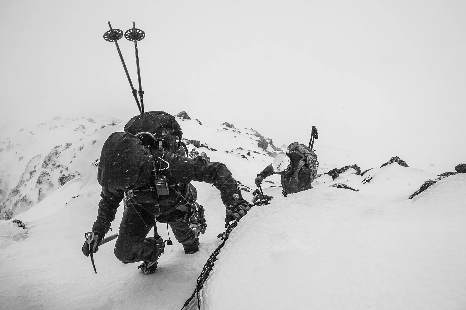untitled image